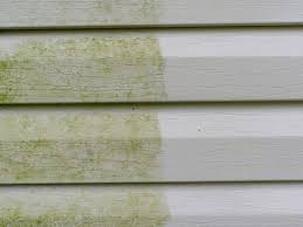 House washing in Grand Rapids MI