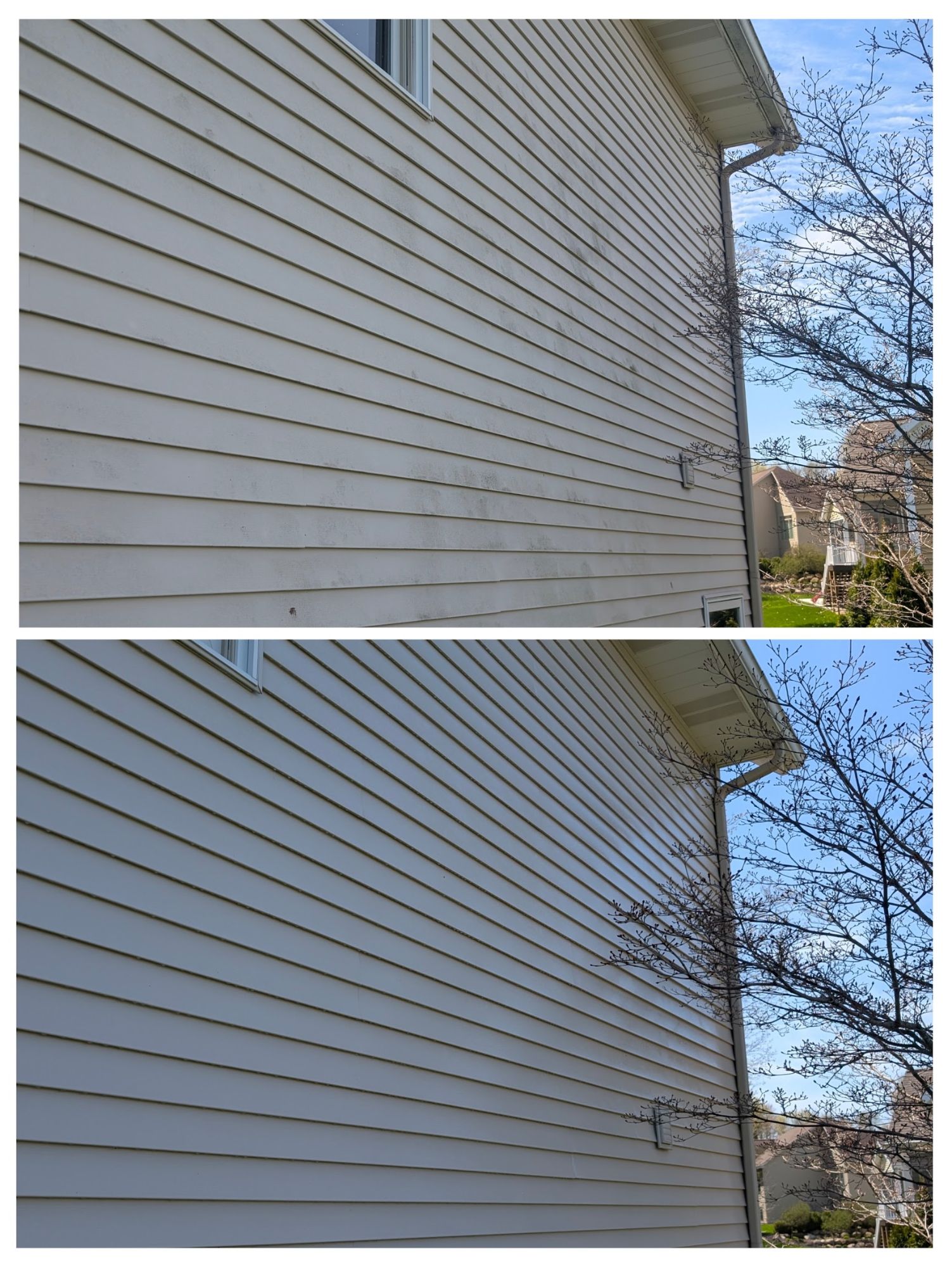 Vinyl siding before and after soft washing
