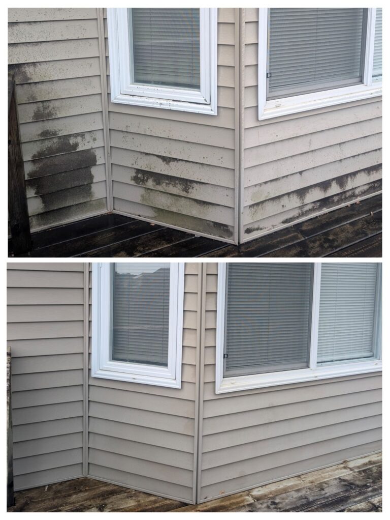 Corner siding with heavy mold before and after soft washing