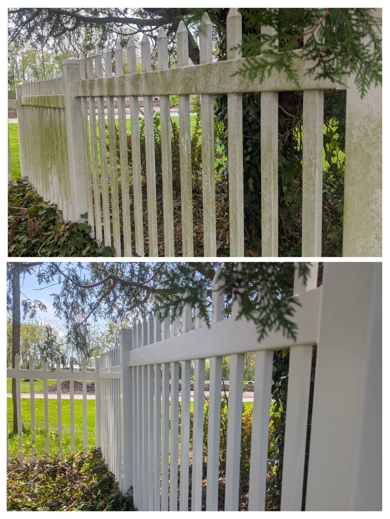 White vinyl fence before and after algae removal